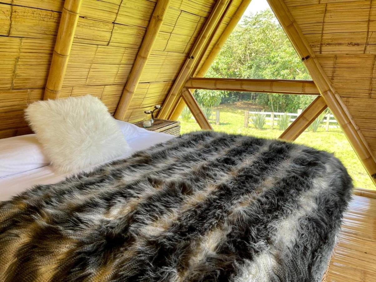 Glamping La Herradura Santa Rosa de Cabal Extérieur photo
