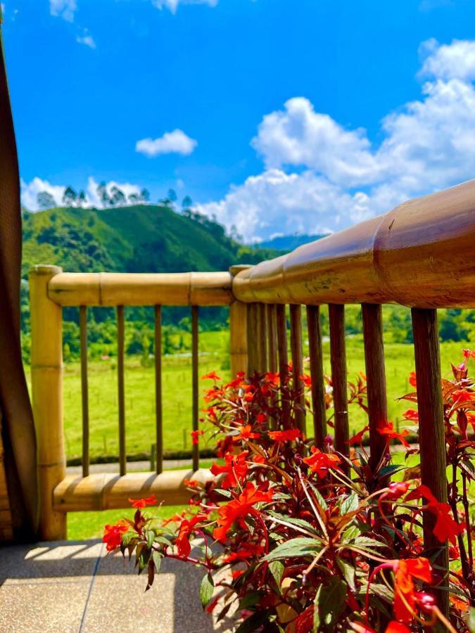 Glamping La Herradura Santa Rosa de Cabal Extérieur photo
