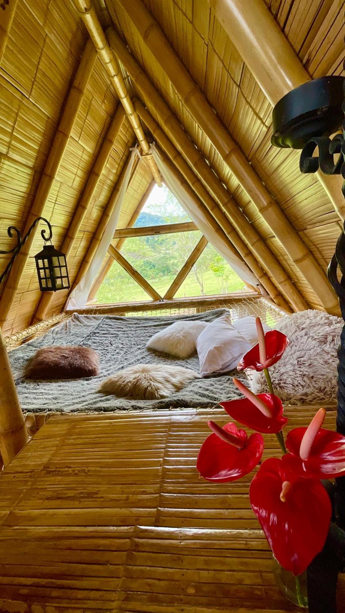 Glamping La Herradura Santa Rosa de Cabal Extérieur photo
